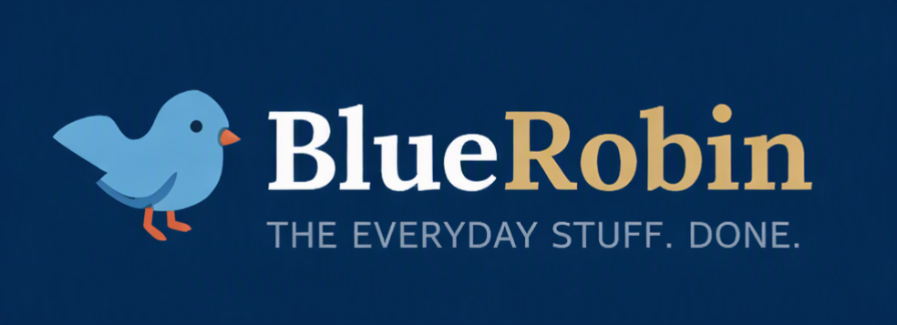 Image for BlueRobin Inc.